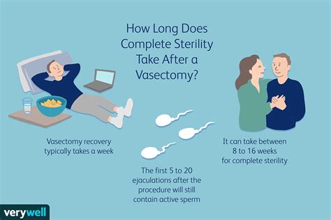 does sperm taste different after a vasectomy|What to Expect After a Vasectomy .